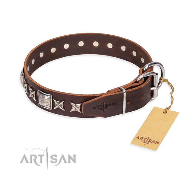 Fashionable leather collar for your favourite dog