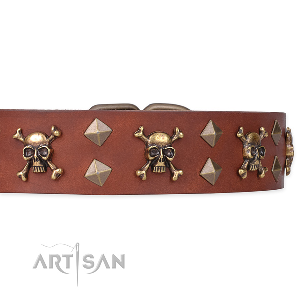 Daily leather dog collar for reliable usage