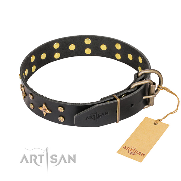 Daily leather collar for your favourite four-legged friend
