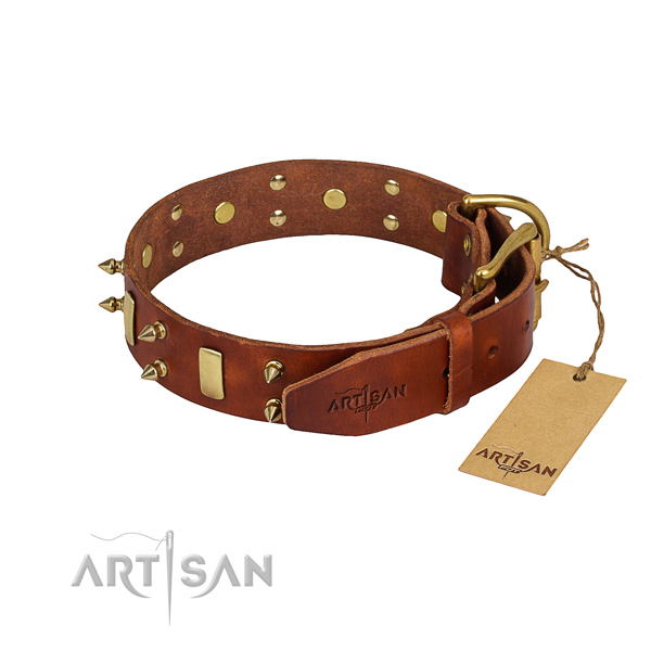 Natural leather dog collar with polished finish