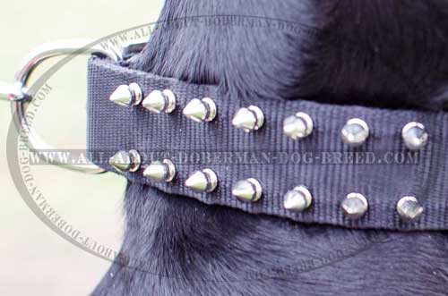 Spiked nylon Doberman collar 