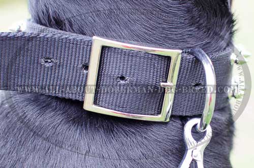 Durable nickel hardware for nylon Doberman collar