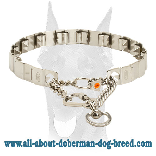 Pinch Doberman collar with solid snap hook