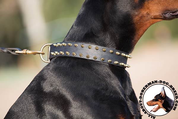 Spiked leather collar for Doberman daily walking