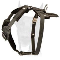 Leather Dog Harness with Soft Adjustable Straps