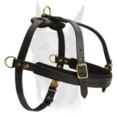 Multitask leather Doberman harness
