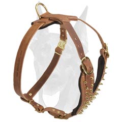 Soft Leather Harness for Doberman Training