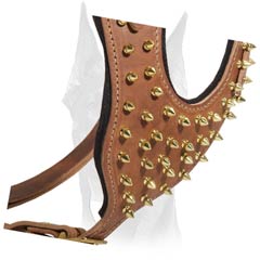Brass Spiked Leather Chest Plate with Interior Padding