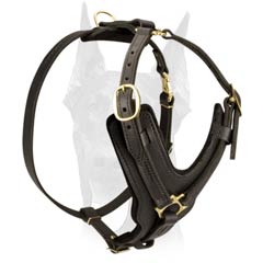 Best value leather Doberman harness