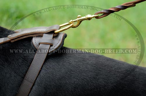 Wide chest plate Doberman harness with brass hardware