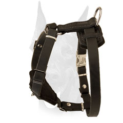 Easy adjustable Doberman puppy harness