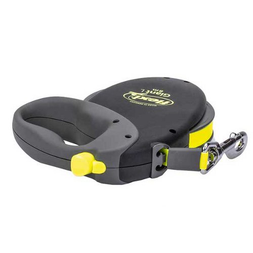 Retractable Doberman leash with reliable braking system