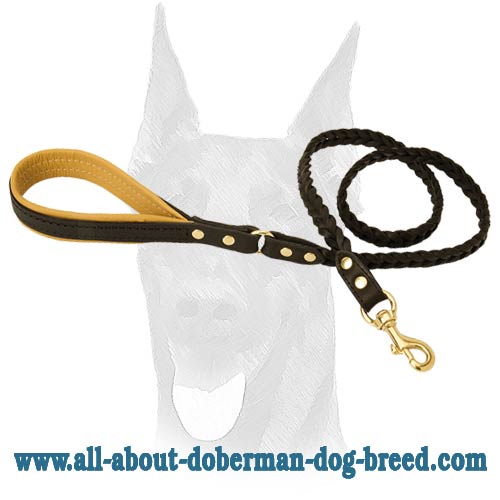 Strong, soft, attractive leash for Doberman