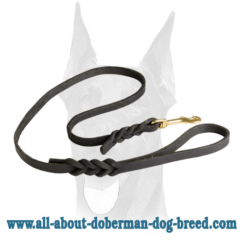 Luxury braided design for leather Doberman leash