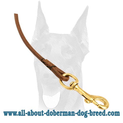 Leather Doberman leash with brass snap hook