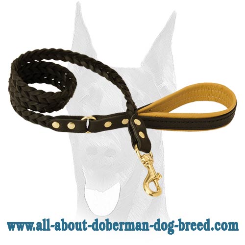 Stunning design leash for Doberman