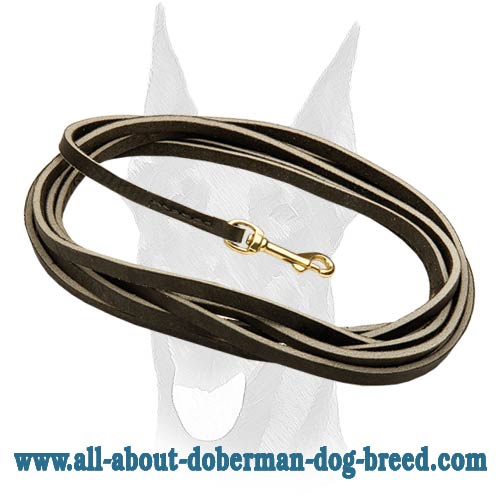 Doberman training leather leash