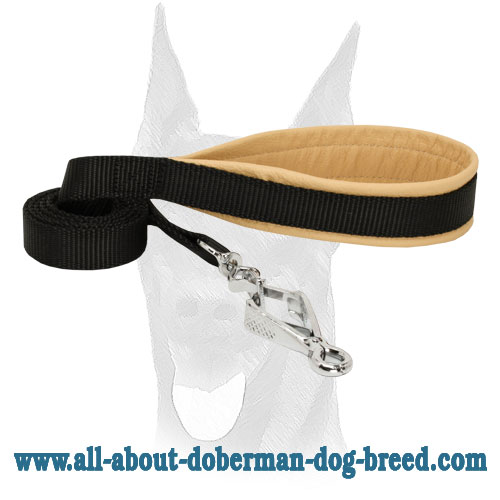 Nylon Doberman leash with scissors type snap hook