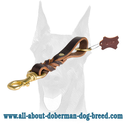 Attractive leash for Doberman