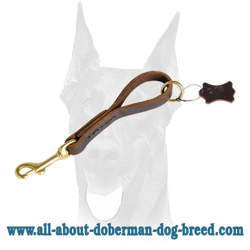 Leather leash with brass fittings for Doberman