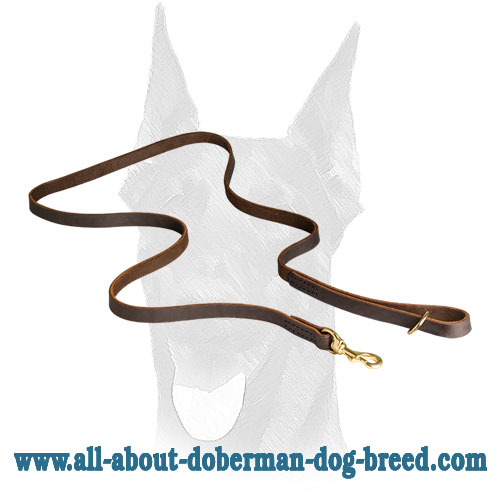 Brass floating D-ring and strong snap hook for Doberman leash
