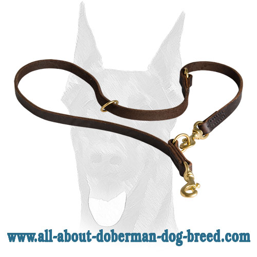 Leather Doberman leash with extra D-ring