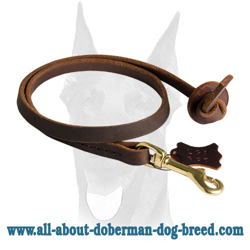 Reliable gear for Doberman