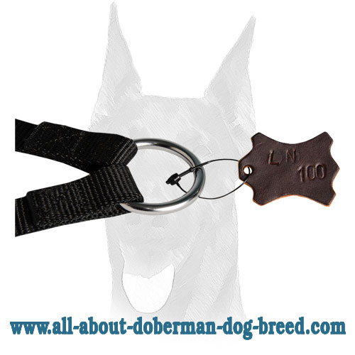Nylon leash coupler for Doberman dogs