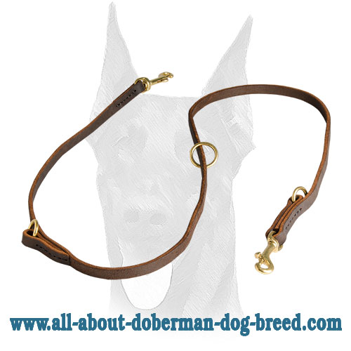Carefully stitched and durable leather Doberman leash