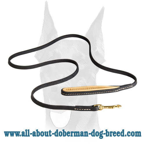 Doberman leather leash with brass snap hook