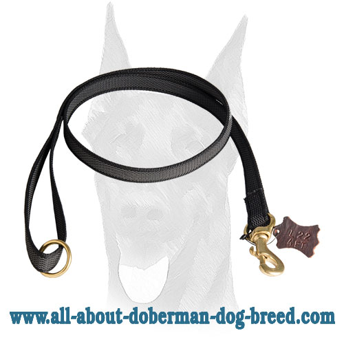 Reliable brass hardware for Doberman leash