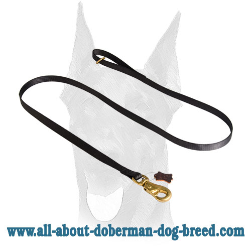 Smart snap hook and floating brass O-ring for Doberman leash
