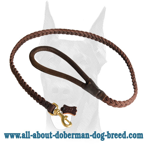 Brass snap hook for braided leather Doberman leash