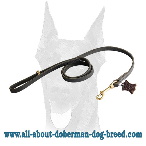 Shiny brass snap hook and O-ring for Doberman leather leash