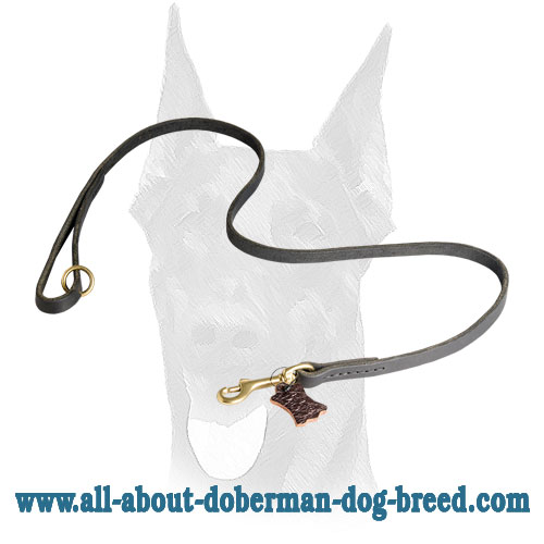 Stitched Doberman leather leash with comfy handle