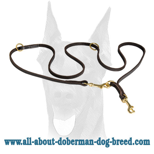 Leather Doberman leash with two snap hooks and extra D-rings