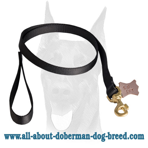 Doberman nylon leash with soft durable handle