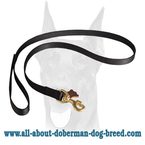 Nylon Doberman leash with floating O-ring