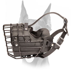 Completely dog safe winter wire muzzle for Doberman