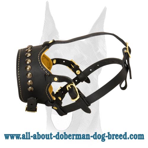 Safe and securely riveted leather Doberman muzzle