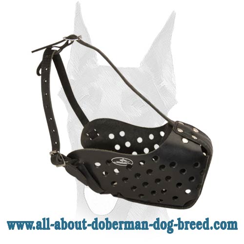 Extreme comfort reliable leather Doberman muzzle