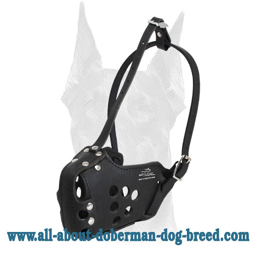 Anti-rubbing leather Doberman muzzle with special ventilation holes