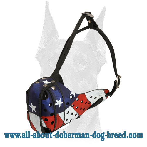 Reinforced with steel front bar leather Doberman muzzle