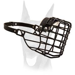 Wire Basket Doberman Muzzle