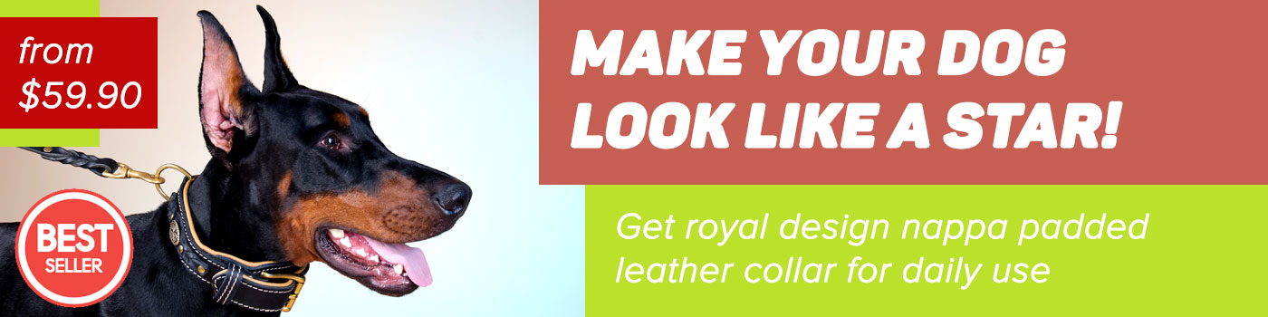 doberman dog collars
