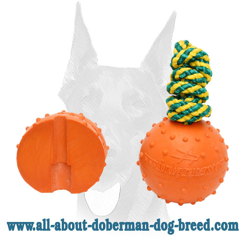 Bright looking rubber ball for Doberman