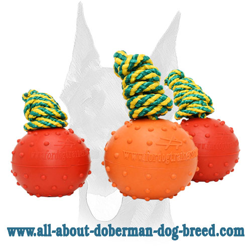 Doberman rubber balls with doted surface 