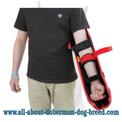 Protective bite sleeve for Doberman trainer