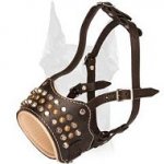 Stylish Comfortable Leather Muzzle for Doberman