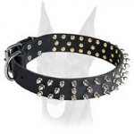 Spiked Leather Doberman Collar for Any Kind of Work